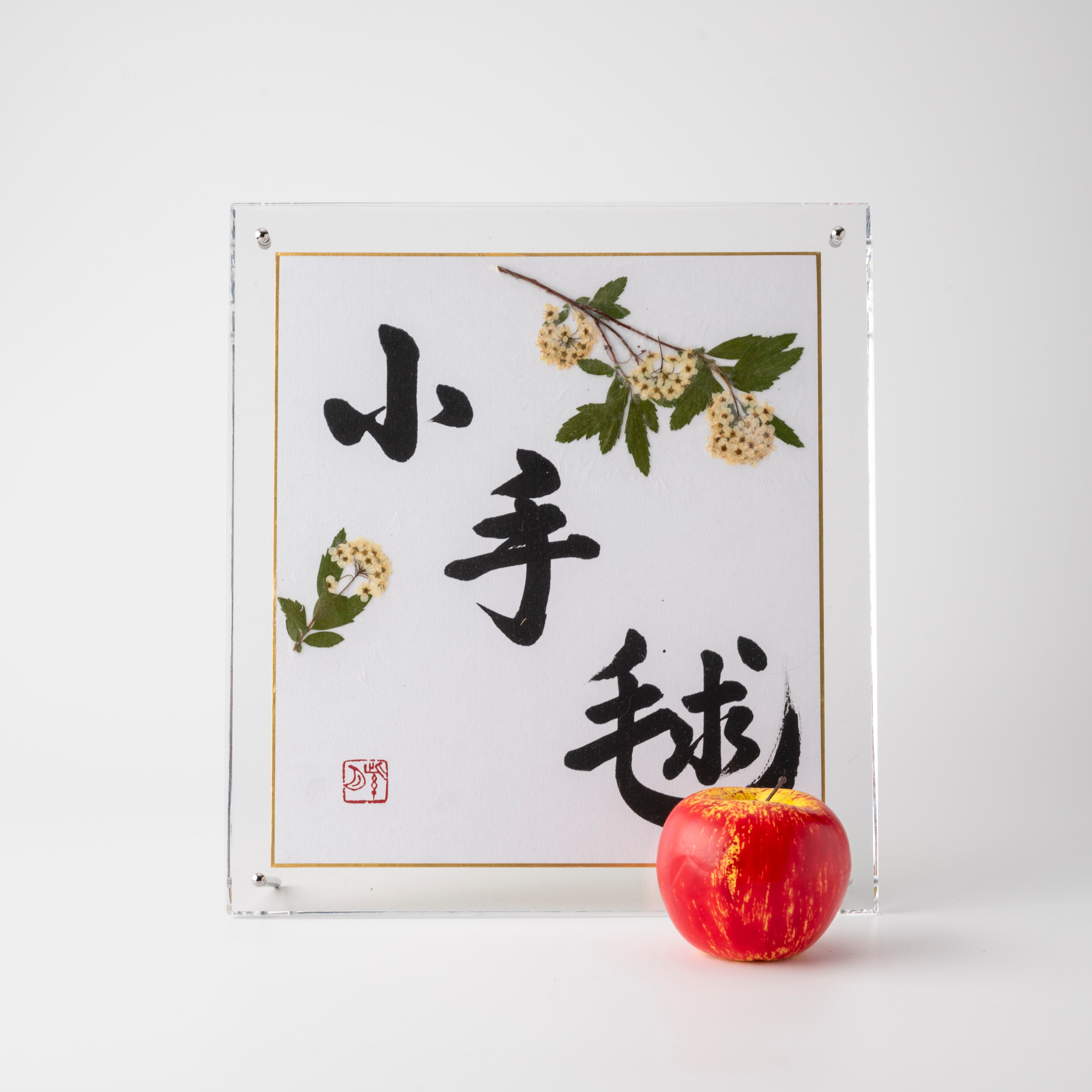 Pressed Flower Kodemari "Reeves Spirea" in Japanese - Acrylic Clear Frame, Design 2 (Free Shipping)