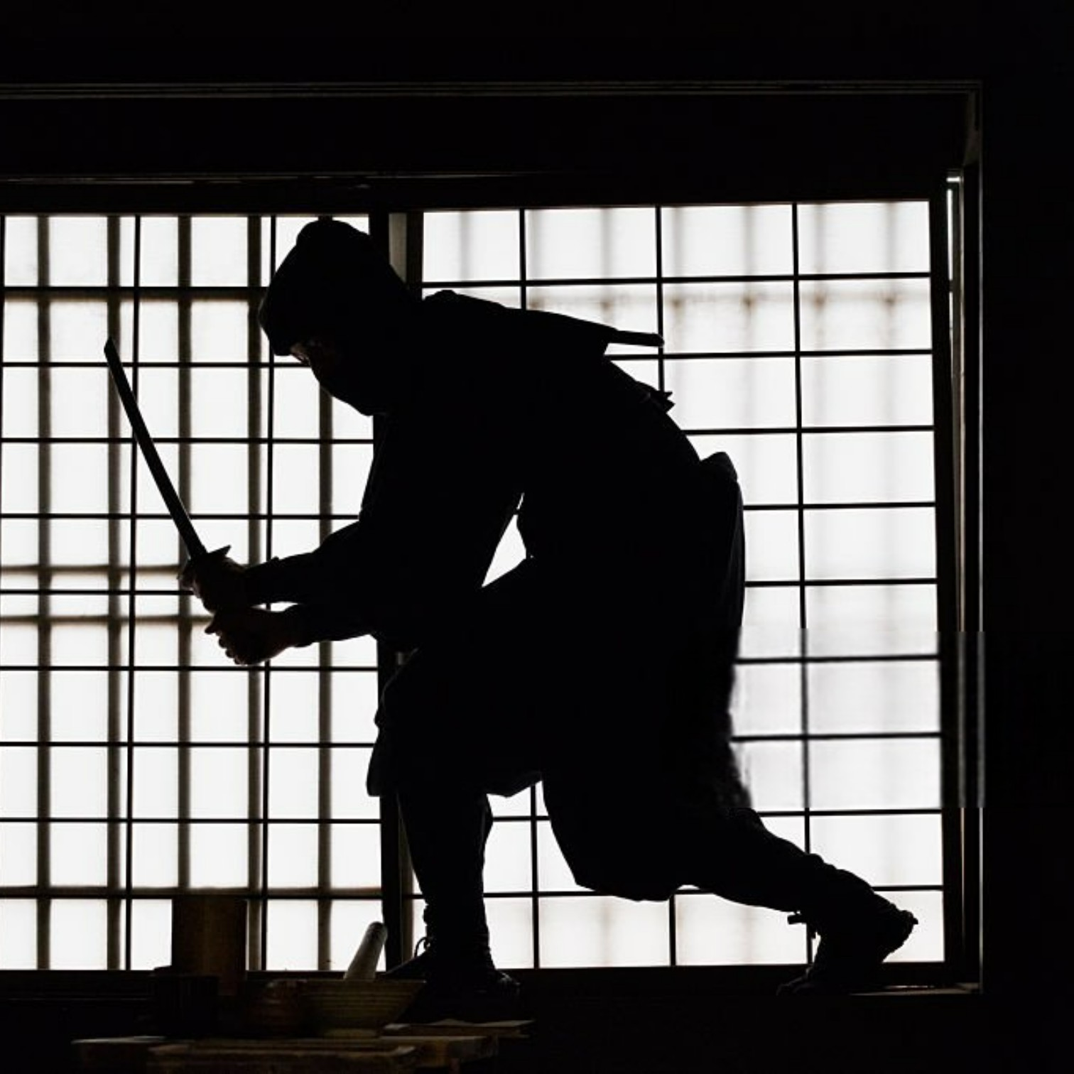 The Spirit of Ninja — 忍者 (Ninja)